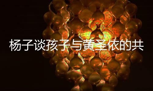 楊子談孩子與黃圣依的共同生活，家庭教育的多維度解讀