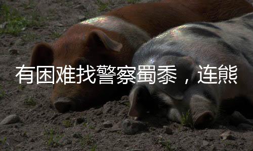 有困難找警察蜀黍，連熊貓都知道