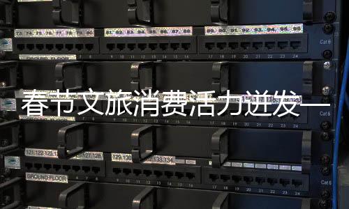 春節(jié)文旅消費(fèi)活力迸發(fā)——節(jié)日盛宴激發(fā)文旅市場(chǎng)新活力