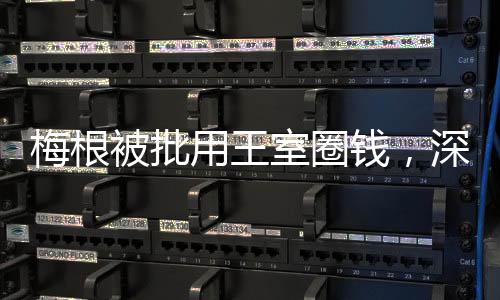 梅根被批用王室圈錢，深度探究事件背后真相