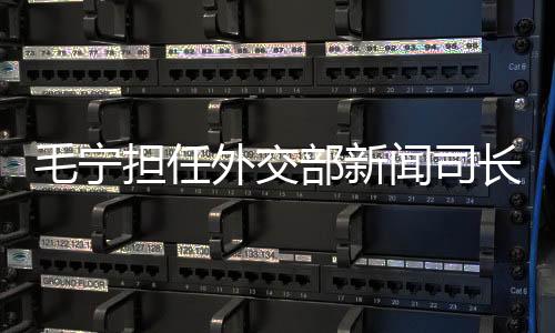 毛寧擔任外交部新聞司長，一展宏圖、二重戰(zhàn)略、三定方向、四項承諾、五大任務、六大亮點、七項行動、八方助力、九維視角、十足信心