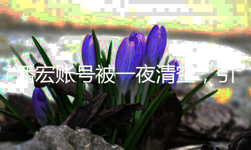 潘宏賬號被一夜清空，引發(fā)社會關(guān)注