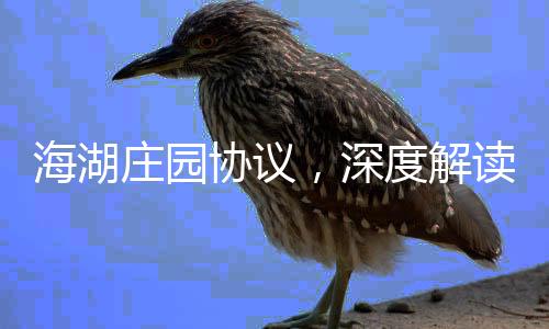 海湖莊園協(xié)議，深度解讀其意義與影響