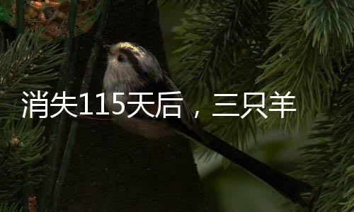 消失115天后，三只羊復(fù)播賣年貨，重拾活力，共迎新春年貨盛宴