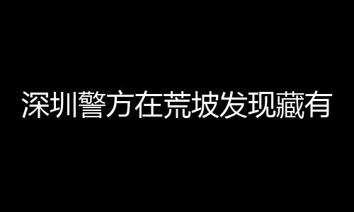 深圳警方在荒坡發(fā)現(xiàn)藏有會計資料的大規(guī)模藏匿點——揭示深藏的秘密