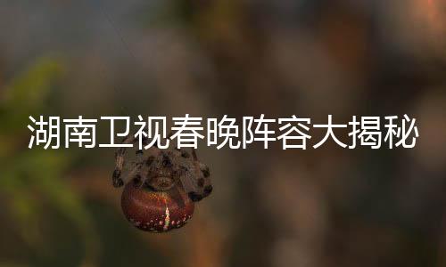 湖南衛(wèi)視春晚陣容大揭秘，星光璀璨，熱議不斷
