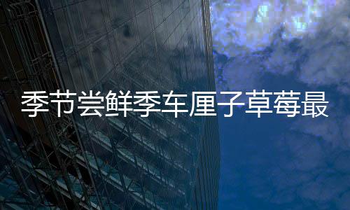 季節(jié)嘗鮮季車?yán)遄硬葺罡咝詢r比時刻來臨