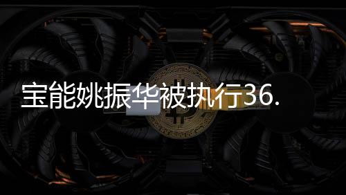 寶能姚振華被執(zhí)行36.6億，揭秘背后的故事與影響