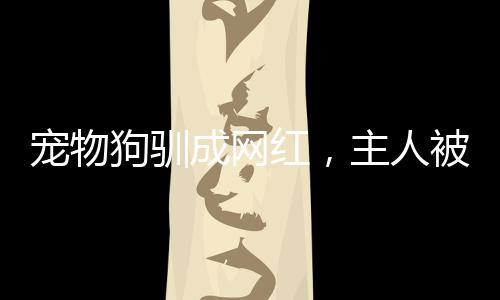 寵物狗馴成網(wǎng)紅，主人被迫簽天價合同