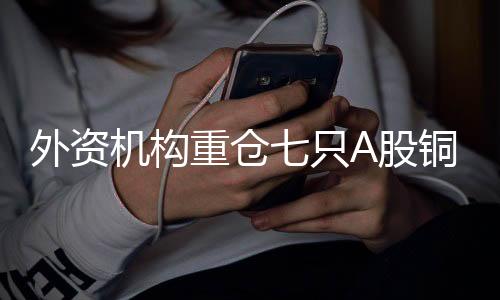 外資機構(gòu)重倉七只A股銅礦股，投資熱點及市場影響分析