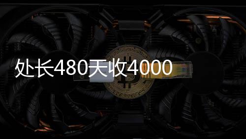 處長480天收4000萬，探究背后的故事與深意