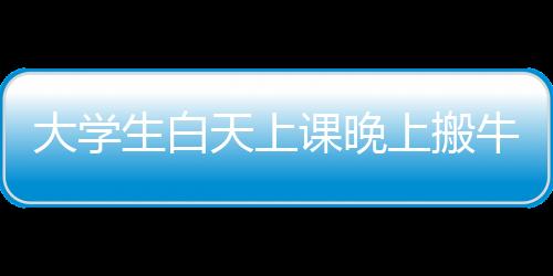 大學(xué)生白天上課晚上搬牛——探索高校生活的多元面貌