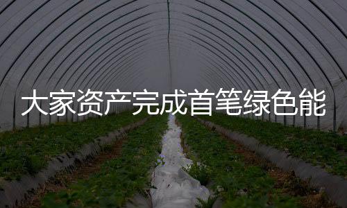 大家資產完成首筆綠色能源直接投資