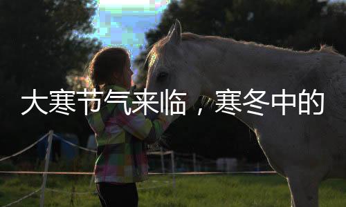 大寒節(jié)氣來臨，寒冬中的溫暖與習(xí)俗傳承