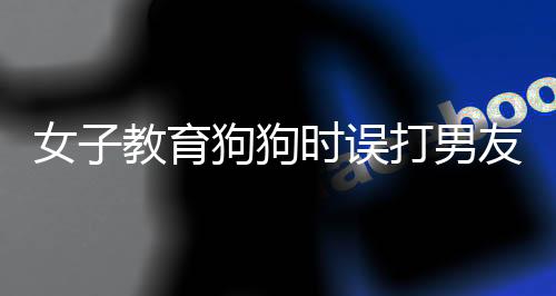 女子教育狗狗時誤打男友，引發(fā)家庭溝通重要性探討