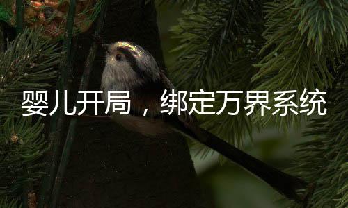 嬰兒開局，綁定萬界系統(tǒng)！