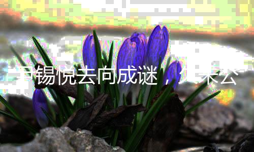 尹錫悅?cè)ハ虺芍i，久未公開露面引發(fā)多方關(guān)注