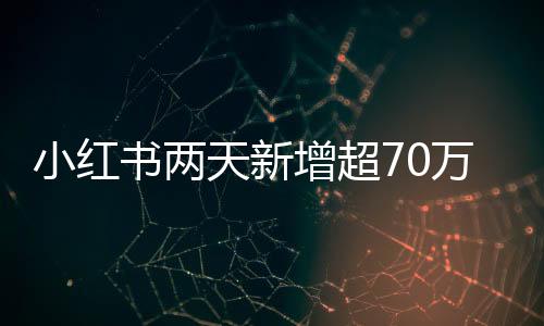 小紅書兩天新增超70萬用戶，引領(lǐng)社交電商新潮流