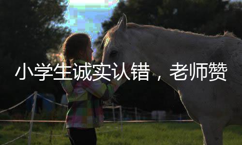 小學(xué)生誠(chéng)實(shí)認(rèn)錯(cuò)，老師贊揚(yáng)其品質(zhì)——一次教育中的正向激勵(lì)故事