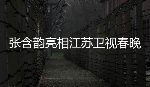 張含韻亮相江蘇衛(wèi)視春晚舞臺，璀璨演出燃爆全場