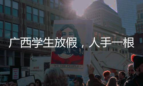 廣西學(xué)生放假，人手一根比人高的甘蔗，歡慶豐收季節(jié)
