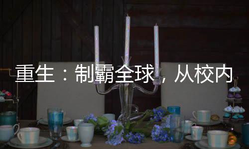 重生：制霸全球，從校內(nèi)網(wǎng)開始