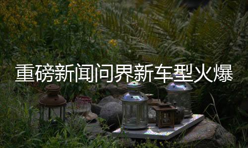 重磅新聞問界新車型火爆預(yù)售，僅63小時便售罄753臺！