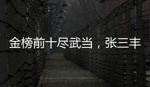 金榜前十盡武當(dāng)，張三豐人傻了！