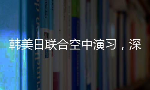 韓美日聯(lián)合空中演習，深化三國安全合作的戰(zhàn)略舉措