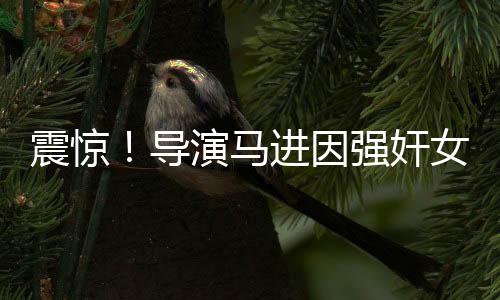 震驚！導演馬進因強奸女星被判刑，行業(yè)內(nèi)部曝光