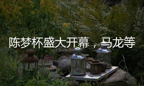 陳夢杯盛大開幕，馬龍等明星送祝福