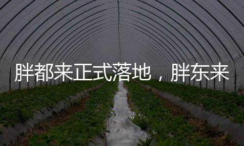 胖都來正式落地，胖東來品牌的嶄新回應(yīng)