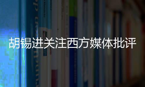 胡錫進關(guān)注西方媒體批評萬斯事件