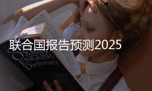 聯(lián)合國報(bào)告預(yù)測(cè)2025年全球經(jīng)濟(jì)增長(zhǎng)將維持在2.8%