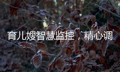 育兒嫂智慧監(jiān)控，精心調(diào)整攝像頭機(jī)位，保障寶寶安全成長