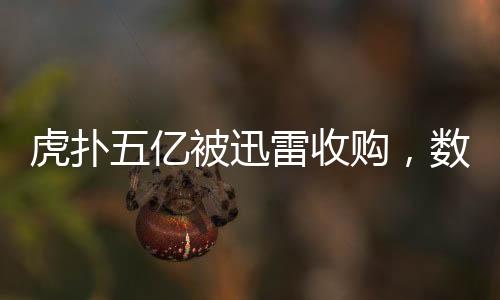 虎撲五億被迅雷收購，數(shù)字體育娛樂產(chǎn)業(yè)的重大變革