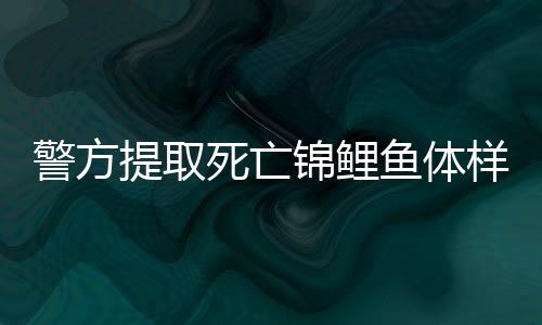 警方提取死亡錦鯉魚體樣本送檢，揭開離奇死亡事件真相