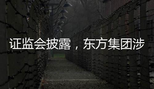 證監(jiān)會披露，東方集團(tuán)涉嫌重大財務(wù)造假