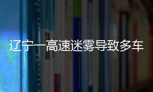 遼寧一高速迷霧導(dǎo)致多車連撞事件紀(jì)實