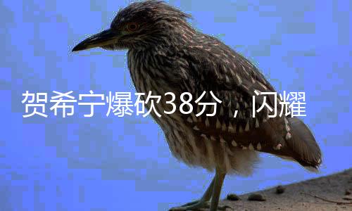 賀希寧爆砍38分，閃耀全場(chǎng)——一記輝煌的籃球巨星表現(xiàn)