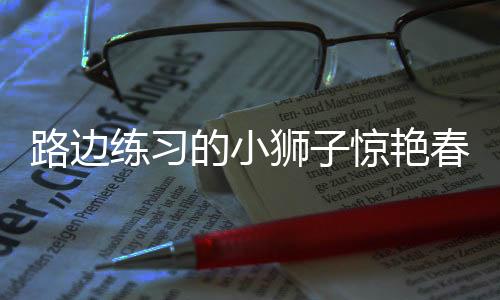 路邊練習(xí)的小獅子驚艷春晚，C位展現(xiàn)無(wú)限魅力