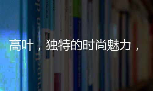 高葉，獨(dú)特的時尚魅力，引領(lǐng)穿戴鋼筆新風(fēng)潮