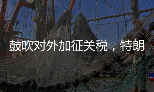 鼓吹對(duì)外加征關(guān)稅，特朗普：“為了讓美國(guó)再次富有”