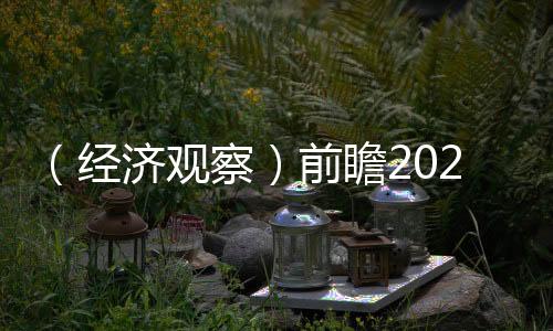 （經(jīng)濟(jì)觀察）前瞻2025：中國房地產(chǎn)市場(chǎng)或現(xiàn)四大變化