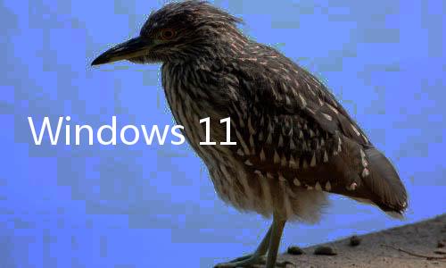 Windows 11 24H2更新開始推送 引入新的AI功能